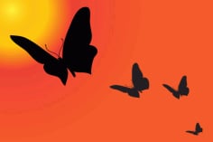 Sunset with Butterfly Silhouette Material Free Vector