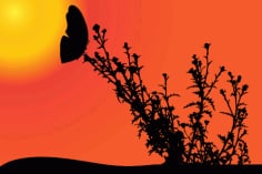 Sunset with Butterfly Silhouette Template Free Vector