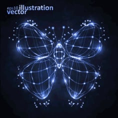 Transparent Butterfly Illustration Vector File