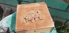 Turtle Box CDR File