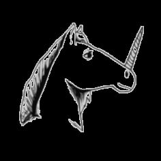 Unicorn Sketch Vector SVG File
