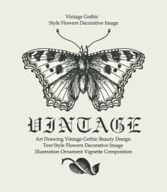 Vector Vintage Butterfly Background Graphics