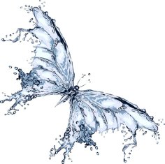 Water Butterfly Design Free Vector