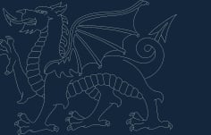 Welsh Dragon Silhouette DXF File