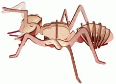 Wooden 3D Puzzle Insect Ant Laser Cut Free Vectors CDR File