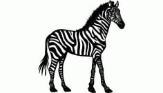 Zebra Free DXF Vectors File